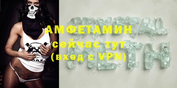 ECSTASY Алзамай