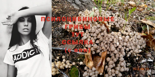 ПСИЛОЦИБИНОВЫЕ ГРИБЫ Абинск