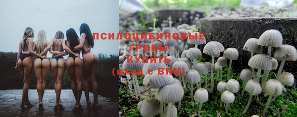 сатива Абдулино