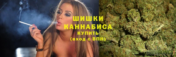соль ск Алексин