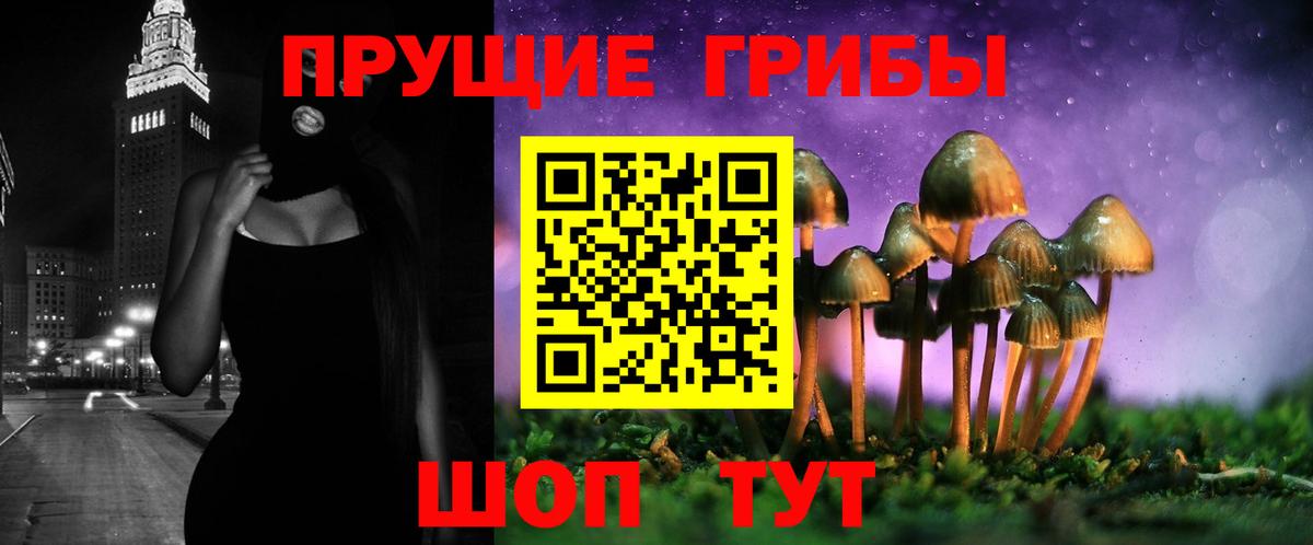 Галлюциногенные грибы Psilocybe Нижневартовск