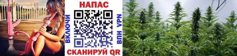 Канабис SATIVA & INDICA  Нижневартовск 